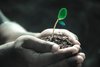 [지구환경 특강] 토종, 오래된 미래가 될 수 있을까?