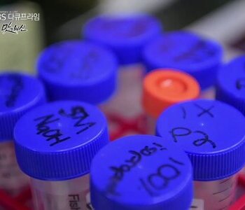 지구환경 특강- 토종, 오래된 미래가 될 수 있을까?(4/29)