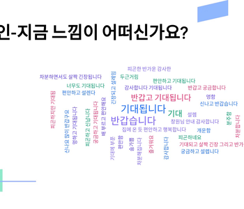Spiral Dynamics (나선 역학)과 NVC(비폭력대화)