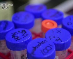 지구환경 특강- 토종, 오래된 미래가 될 수 있을까?(