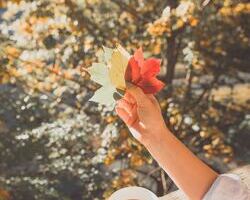 NVC중재자의 차담회, “삶의 순간, 우리는 연결을 선